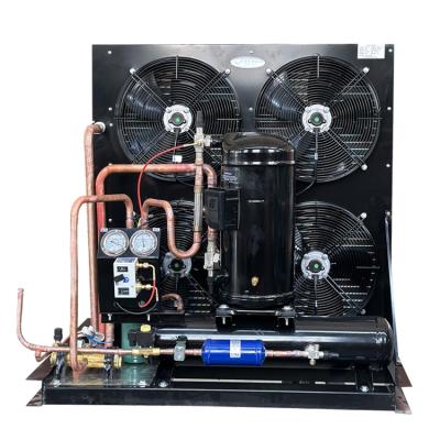 China food & Beverage Plant Copeland Compressor Unit Roll-Hermetic Air Cooled Condensing Unit Refrigeration Cold Storage Room for sale