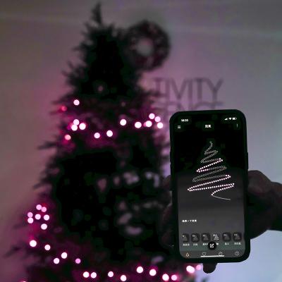 China Smart Customized Led Christmas Pattern Headlight Decoration String Light With App for sale