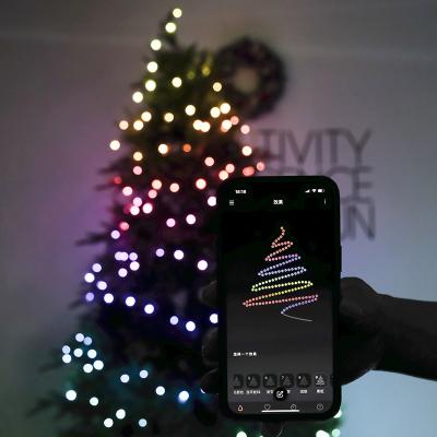 China Christmas Smart House Decor Adjustable Colorful String Light For Festival Party for sale