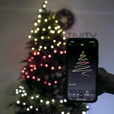 China Smart Wifi App Control Smart Christmas Tree Lights Customizable Colorful App RGB Light for sale