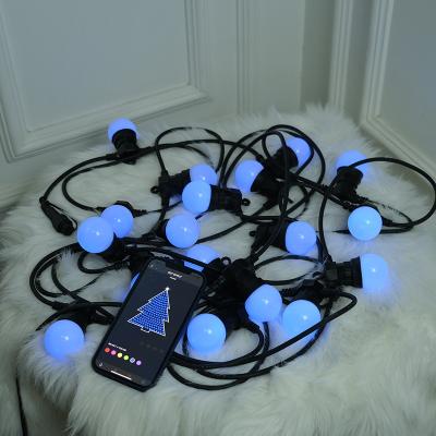 China Remote Control Festoon 24v Smart String Floodlight Wireless Holiday Lights Outdoor for sale