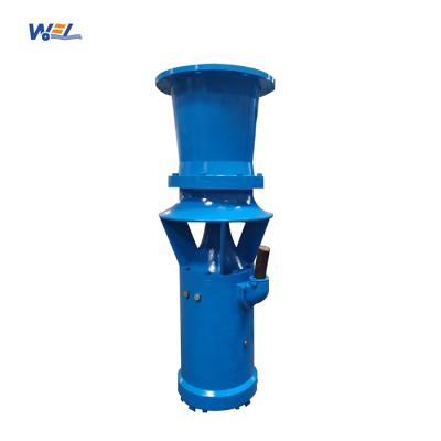 China Horizontal Drinking Water Treatment Submersible Pumps 3600 m3h Low Suction Head High Discharge No Noise Flexible Submersible Pump for sale