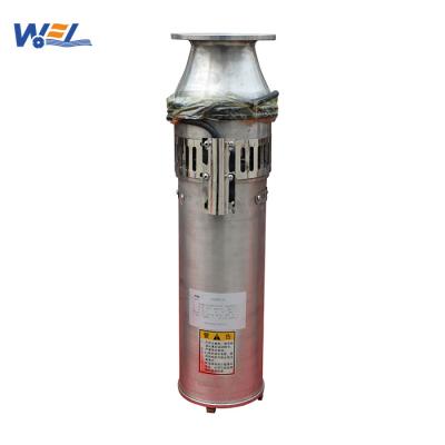 China Flexible install; 2hp 3hp 5hp 10hp QS Rewind Fountain Submersible Pump for sale