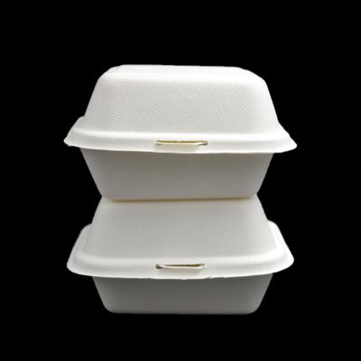 China Virgin High Grade 6inch bagasse pulp Hinged Lid food container Hamburger box for sale