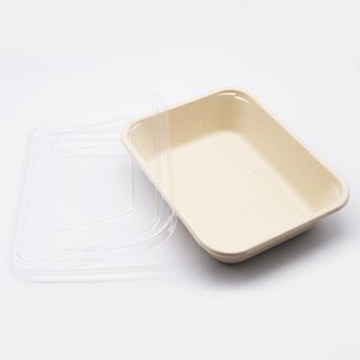 China Wholesale Virgin Bagasse Pulp Rectangle Compostable Container With Clear Lid for sale