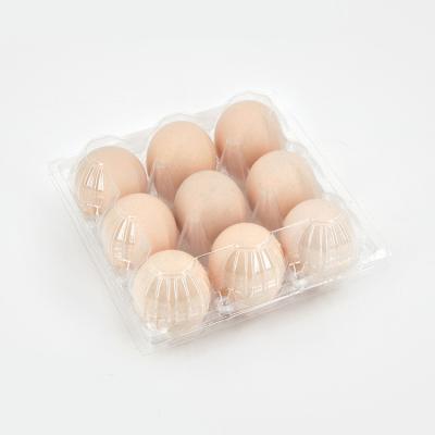 China Disposable Clear Plastic 9 Square Egg Packing Container for sale