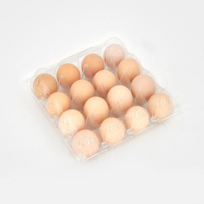 China High Grade Disposable Square Egg Packing 16 Plastic Clamshell for sale