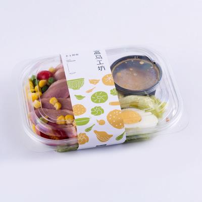 China China Factory Disposable Forming Plastic Rectangle Salad Container With 2 Cells for sale