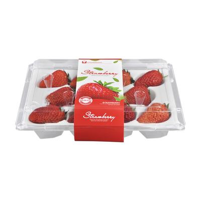 China OEM Disposable 11 Cavity Rectangle Plastic Strawberry Box With Vented Lid for sale