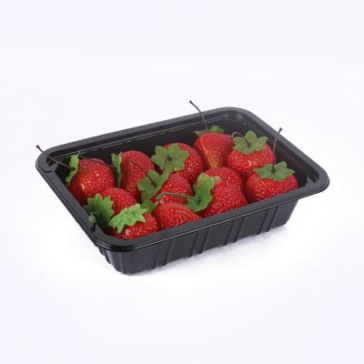 China Fashion Design Disposable Blister 500g Rectangular Plastic Fruit Packing Tray for sale