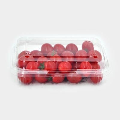 China Thermoforming Tomato Disposable Top Quality Clear Plastic Crank Handle for sale