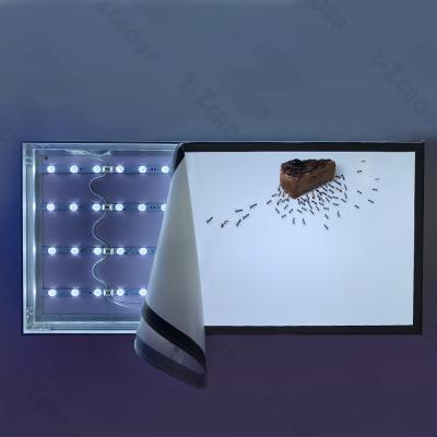 China Backlit Customizable 12V/24V Aluminum Alloy LED 3030 Light Box Curtain Plain Bar For Light Box Advertising Counter Light Source for sale