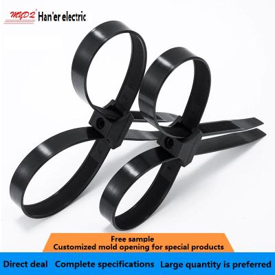 China Double Buckle 13*250 Nylon Strapping Double Buckle Strapping Cable Double Buckle Nylon Strapping Strap for sale