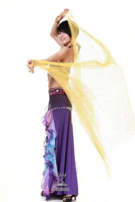 China Custom Bar Glittering Belly Dancing Clothing  /  Veil , Belly Dancing Costumes For Kids for sale