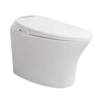 China Automatic Dual Operation Ceramic Flush One Piece Automatic Smart Toilet for sale