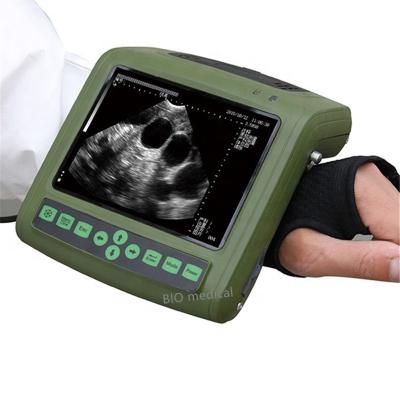 China Mini Pig Ultrasound Machine Veterinary Ultrasound Scanner For Cattle And Horses for sale