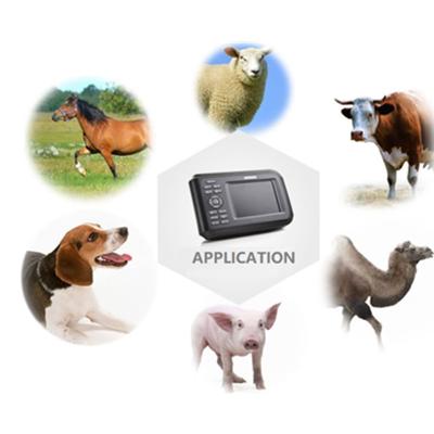 China Animal Portable Ultrasound Scanner For Cattle / Cow / Sheep Pregnancy Test Ultrasound 5.5 Inch TFT Color LCD Display for sale