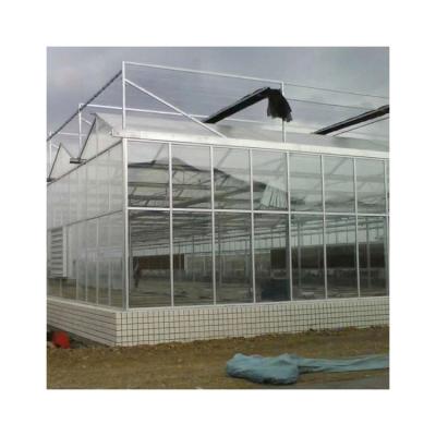 China House Winter Garden Greenhouse Glass Geodesic Dome Eco Friendly Glass Greenhouse for sale