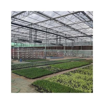 China Multi-span Eco-Friendly Clear Glass Greenhouse Tempered Glass Greenhouse Hydroponic Greenhouse for sale