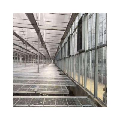 China Best Standard Greenhouse Outdoor Glass Greenhouse Eco Friendly Glass Cube House for sale