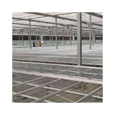 China Various Styles Eco Friendly Custom Glass Greenhouse Glass Greenhouses For Sale for sale