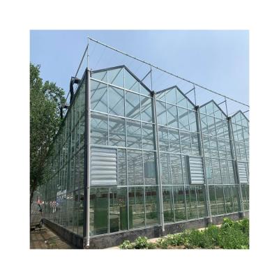 China Eco Friendly Glass House Solar Greenhouse Greenhouse Glass Greenhouse for sale