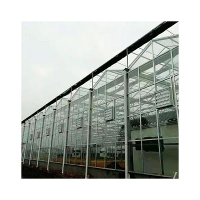 China Multi-span Eco Friendly Skillful Glass Greenhouse Manufacture Hydroponic Greenhouse Glass For Greenhouses for sale