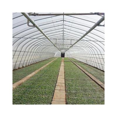 China Eco Friendly High Quality Polyethylene Film Greenhouse Film For Greenhouses for sale