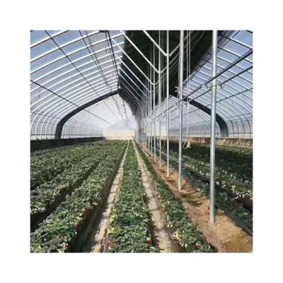 China Etfe Film Greenhouse Plant Eco Friendly Plant Plastic Reinforced Film For Greenhouse for sale