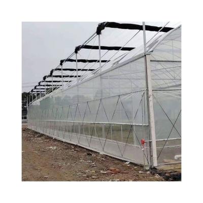 China Eco Friendly Sales Greenhouse Heat Film Agricultural Heat Reflection Film Greenhouse for sale