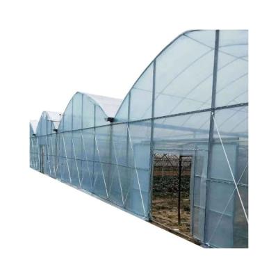 China Eco Friendly Wide Varieties Single Tunnel Film Greenhouse Film Plastic For Greenhouse for sale