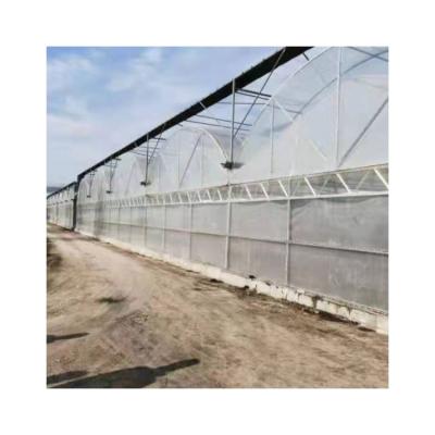 China eco friendly greenhouse plastic agriculture film cinema greenhouse with complete systems for sale for sale