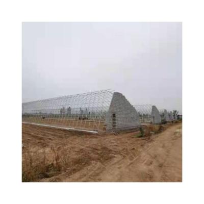 China Eco Friendly Plastic Sheet Plastic Sheet Sales Greenhouse Clear Poly Arch Greenhouse for sale