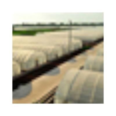 China Eco Friendly Greenhouse Sheet Plastic Sheet Heat Reduction Plastic Sheet For Greenhouse for sale