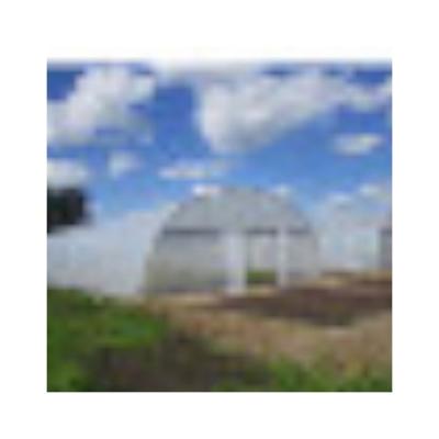 China Eco Friendly Factory Supply Vegetable Greenhouse Cultivating Greenhouse Plastic Film for sale