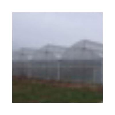 China Eco Friendly High Quality Polythene Greenhouse Film Greenhouse Plastic Reinforced Greenhouse Film For Greenhouse for sale