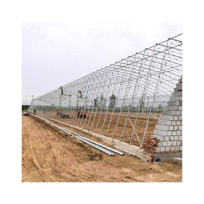 China Eco Friendly Hot Sales Cinema Greenhouse Pep Film Greenhouse With Complete Systems For Sale for sale