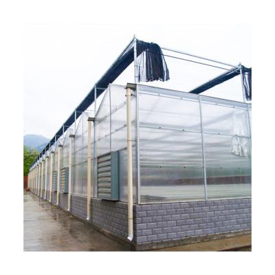 China Wholesale Price Eco Friendly Skillful Design Multi Solar Panel Greenhouse for sale