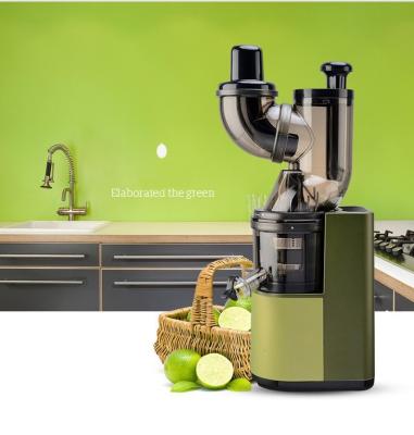 China Other Professional Wide Mouth Juicer Extractor Fruit Vegetable Slow Juicer Machine For Highly Efficient Juice Extraction for sale