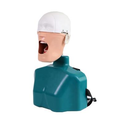 China Dental Training Artificial Shoulder Head Model Extraction Teacher Dental Dummy Head Model Dental Head Model for sale