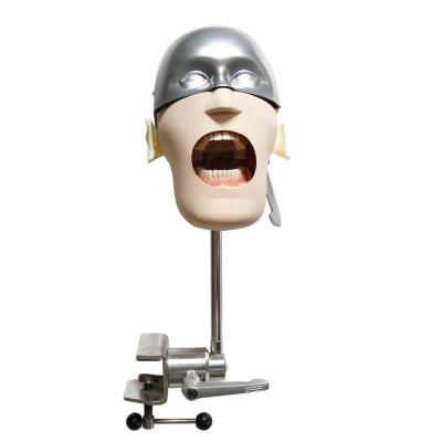 China Durable Dental Manikins Phantom Head Models For Dental Education Products Dental Training Dental Simulator for sale