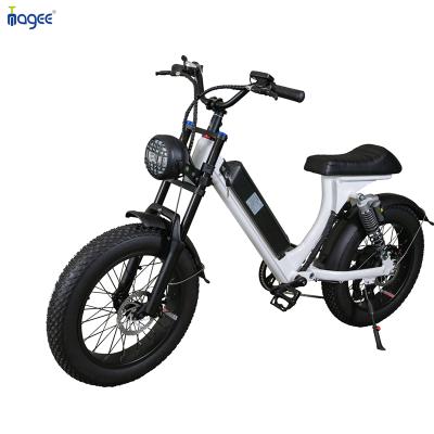 China 500W Alloy C City Bike 48V 15Ah Aluminum Electric Bike 20 Inch Tire 2 Fat Wheels Electric Mountain Bike E-Bike for sale