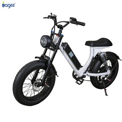 China Aluminum alloy c 20 inch 48v seats parent-child electric bicycle for family for sale