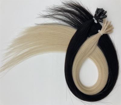 China Kinky Loop Factory! 100% pre bonded double drawn hair extension unprocessed,nail hair,U tip remy hair wholesale price for sale