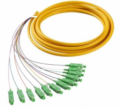 China FTTH FTTB FTTX network factory price 0.9MM 12 core 5M color SC APC fiber optic pigtail for sale