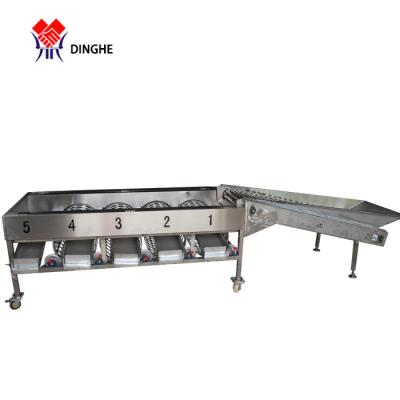 China Fruits and Vegetables Processing Apple Orange Potato Fruits and Vegetables Tomato Sorter for sale