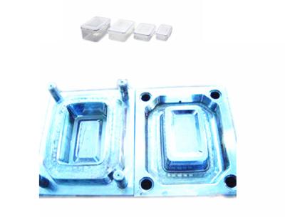 China Durable Clear Plastic Injection Molding , Professional Pmma Injection Molding for sale