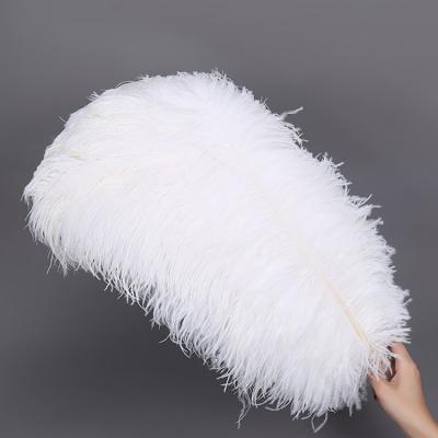 China Wholesale Cheap Natural Color Ostrich Feather Dyed Ostrich Feather South Africa Factory for sale