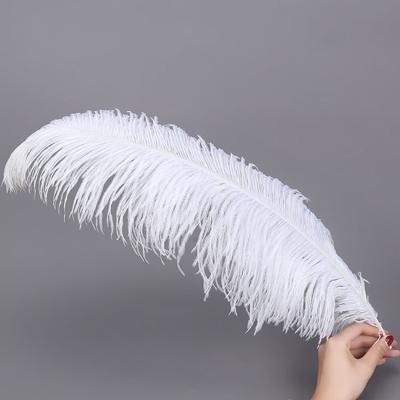 China Wholesale High Quality White Party Wedding Performance Decoration Ostrich Feather 15-20cm For Wedding Party Decorations for sale