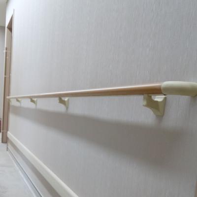 China Modern 38mm Hospital Hotel Railing PVC Railing for sale